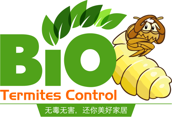 9 Best Companies For Termite Baiting System in Malaysia